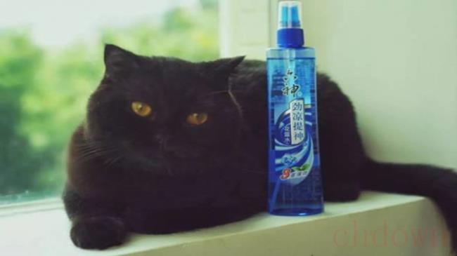 花露水对猫咪有影响吗