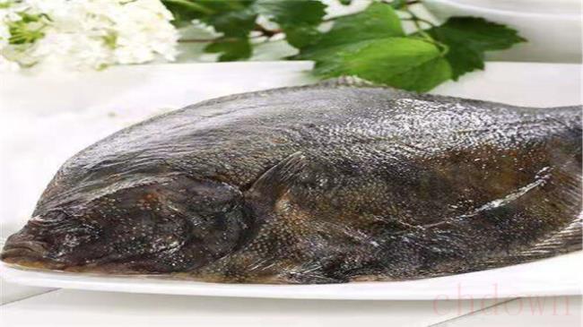 复活岛蝶饲养,复活岛蝶,热带鱼