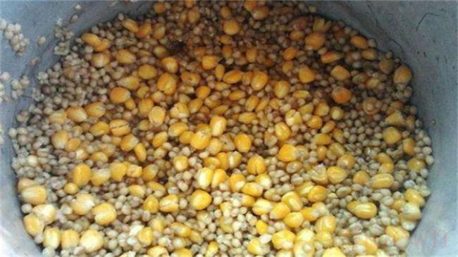 老玉米窝料的制作方法是什么