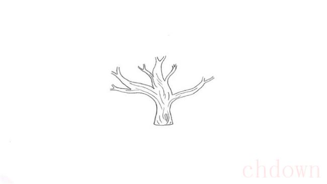桃树,植物,简笔画