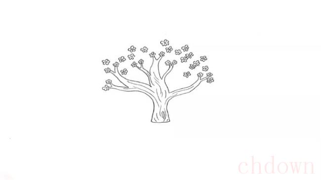 桃树,植物,简笔画