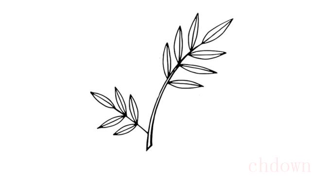 如何画含羞草简笔画