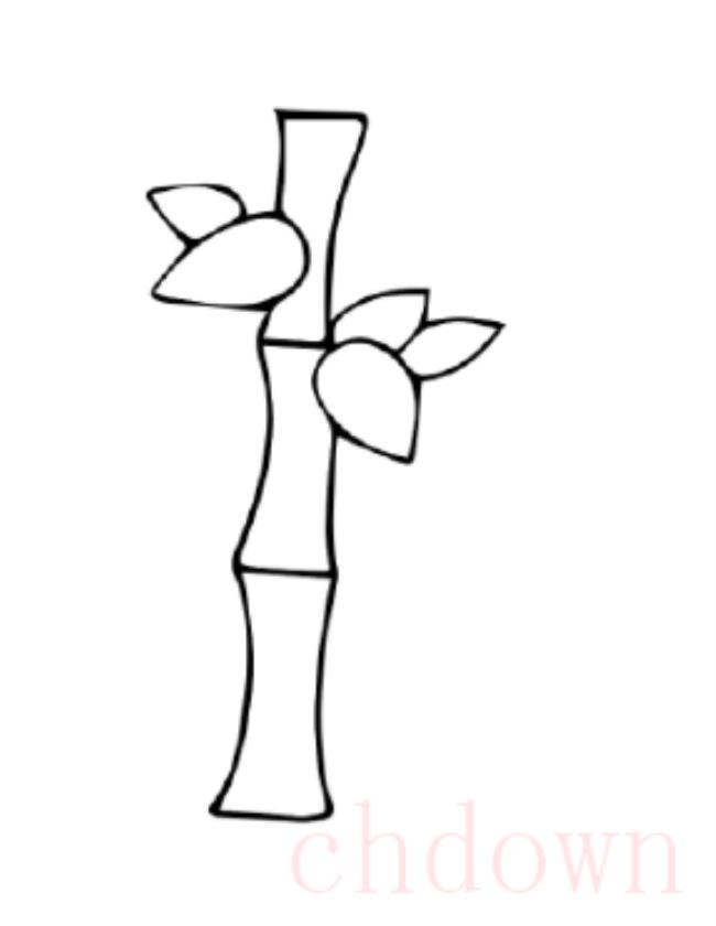 竹子,简笔画,竹子的画法
