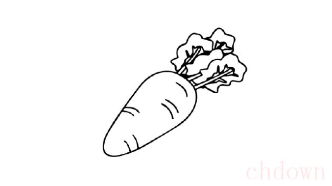 胡萝卜,蔬菜,简笔画