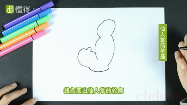 仙人掌简笔画（图文）