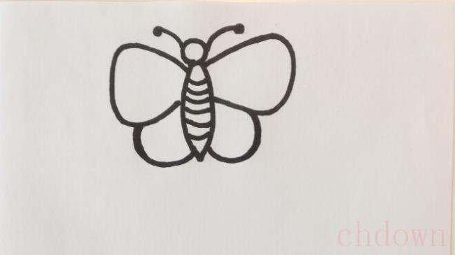 蝴蝶,动物,简笔画技巧