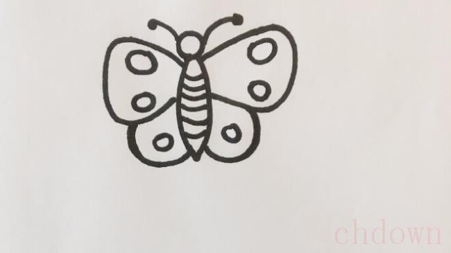 蝴蝶,动物,简笔画技巧