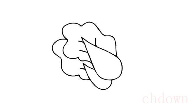 白菜,蔬菜,简笔画