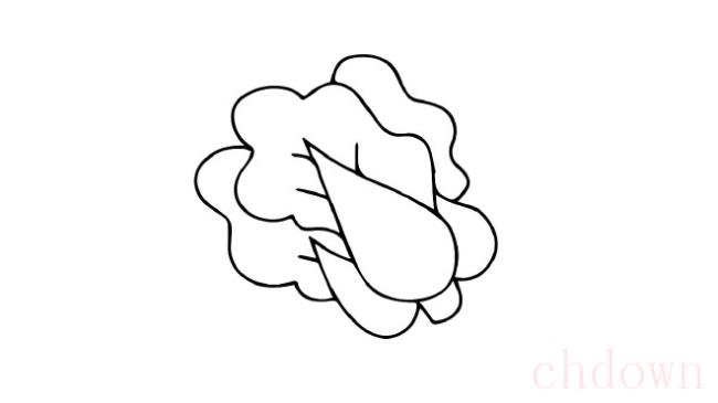 白菜,蔬菜,简笔画