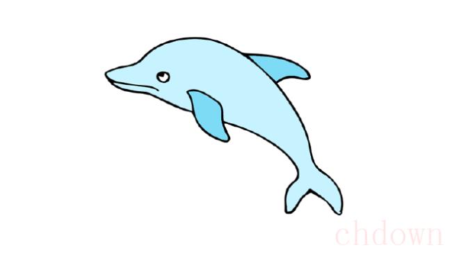 海豚,动物,简笔画