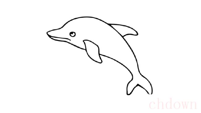 海豚,动物,简笔画
