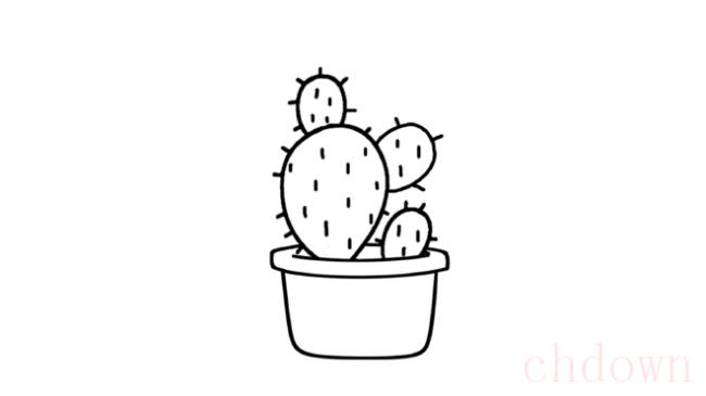 仙人掌,植物,简笔画