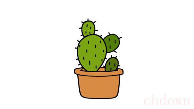 仙人掌,植物,简笔画