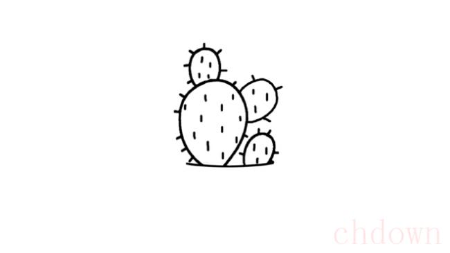 仙人掌,植物,简笔画