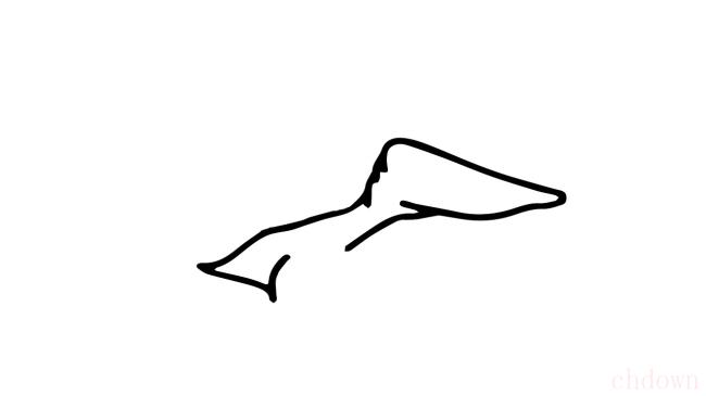 海鸥怎么画