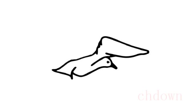 海鸥,鸟类,简笔画