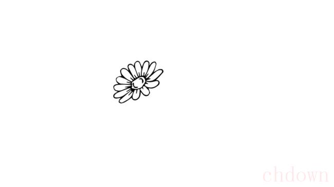 雏菊简笔画如何画