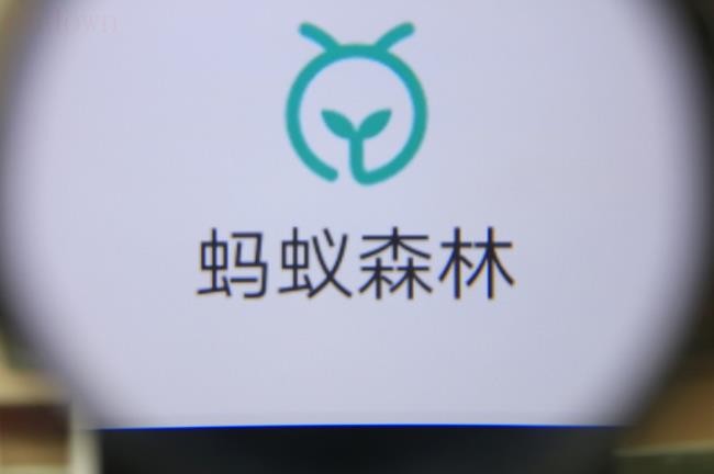 蚂蚁森林怎么种树