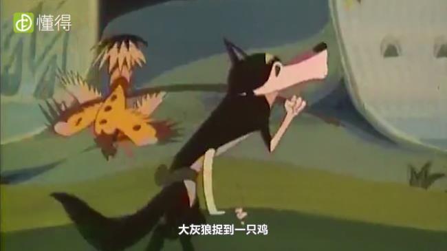 动物,大灰狼,生活常识