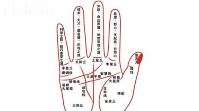 手相怎么看