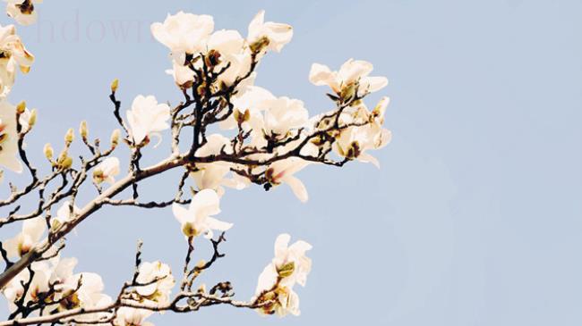 春分节气的特点
