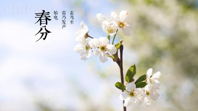 24节气,春分,天文地理