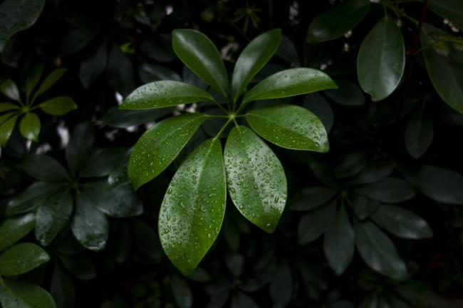 惊蛰节气文案有哪些