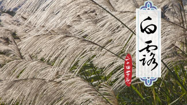 白露的传统习俗有哪些