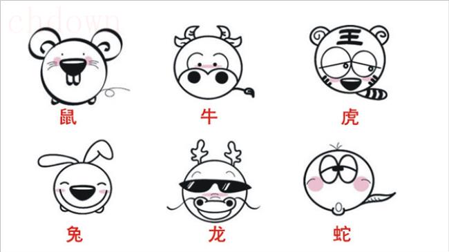 生肖,象征,生活常识