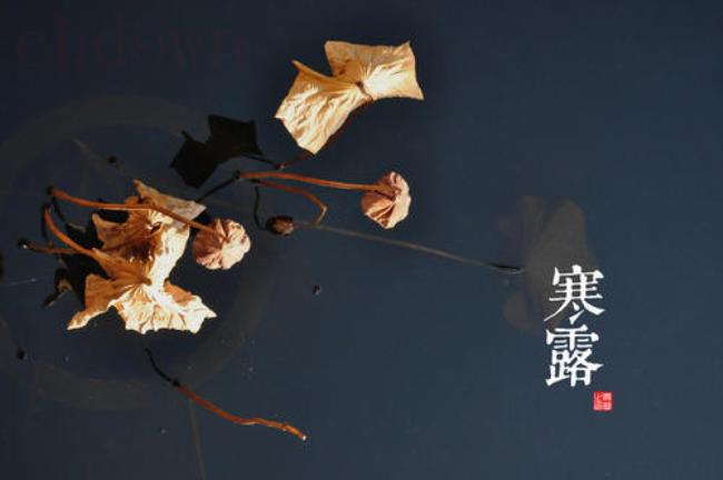 2020寒露是哪一天