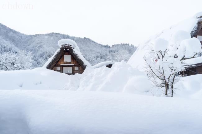 小雪饮食,小雪,24节气