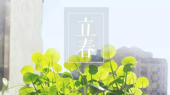 立春雨水到早起晚睡觉,立春,24节气