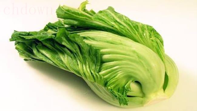 盖菜和芥菜的区别