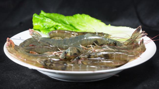 铁皮虾,虾