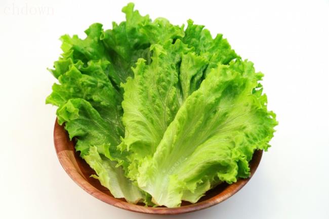 圆生菜和生菜区别