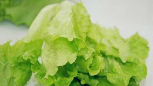 玻璃生菜和生菜的区别