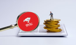 京东付款码可以用白条吗