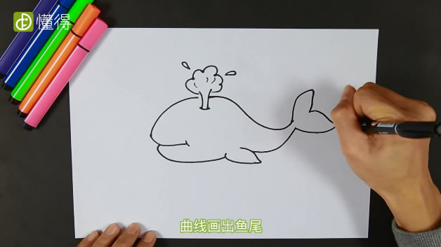 鲸鱼怎么画-画出鱼背鱼腹和鱼尾