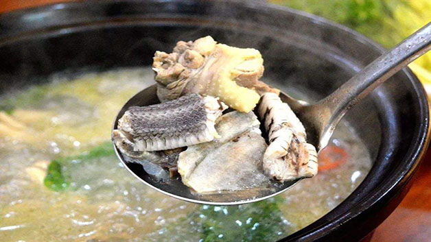 蛇肉不能在家煮,蛇,动物