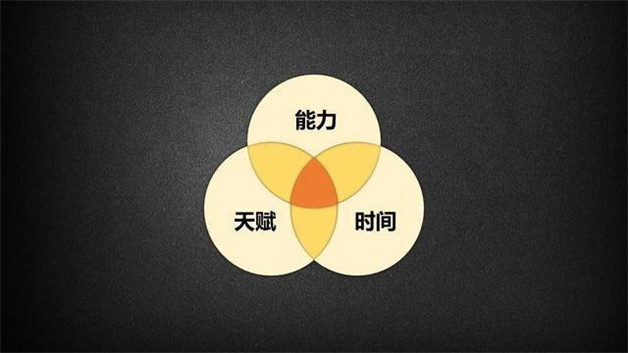个人ip打造什么意思