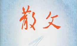 散文应该怎么写