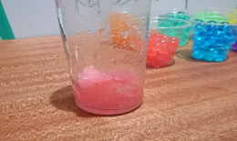 泡大珠的正确养法