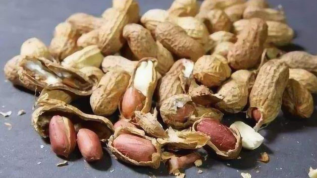 花生壳怎么发酵快