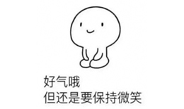 姨母的微笑是什么梗