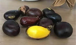 凤眼果一般可以生吃吗