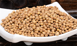 香菜籽可以用作香料吗