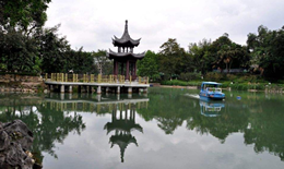 沙坪公园是在什么地方