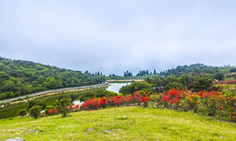 花海梯田具体在哪里