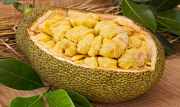 菠萝蜜太粘手怎么清洗