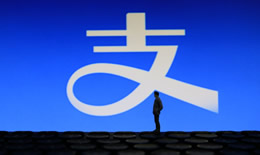 支付宝如何养猫